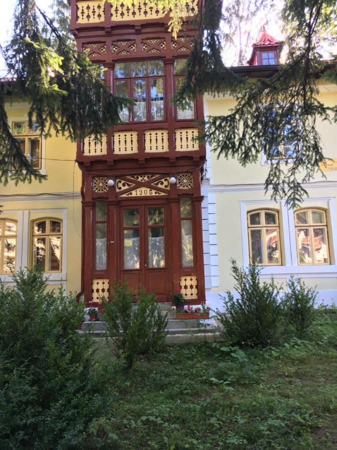Vila Flavia Sinaia Exterior foto