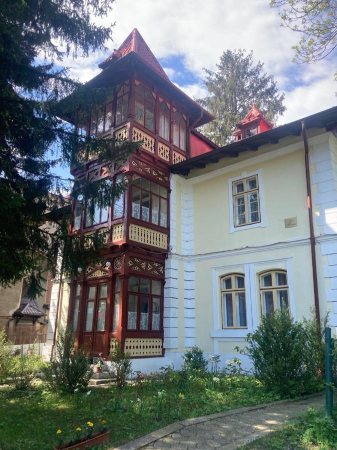 Vila Flavia Sinaia Exterior foto